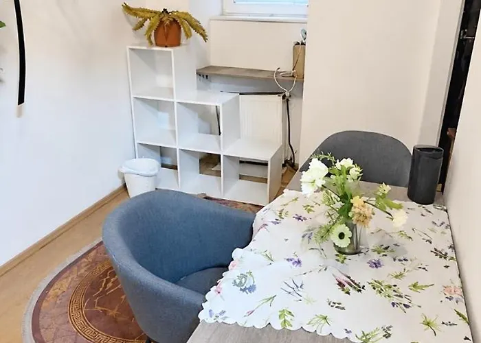 Small Cozy Loft With Small Private Kitchenette And Shower Гостьовий будинок Відень